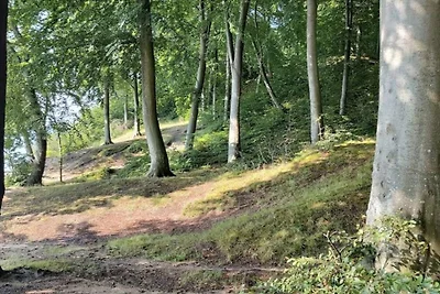 4 sterren vakantie huis in Hornsyld