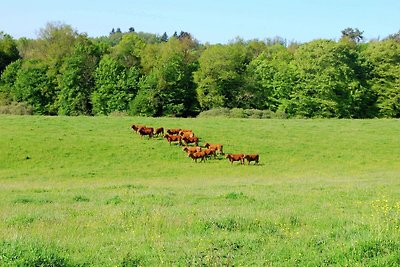 Ruhig gelegenes Ferienhaus in Roussines mit...