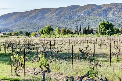 Cottage a Oppède tra i vigneti