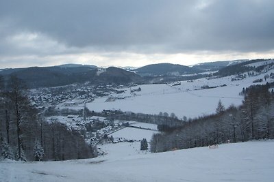 Ferienwohnung in der Nähe des Skigebietes