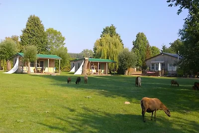 Ferienhaus mit Kamin am Achterwasser in Lütow