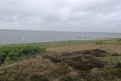 6 Personen Ferienhaus in Hemmet-By Traum