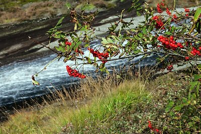 7 Personen Ferienhaus in lyngdal