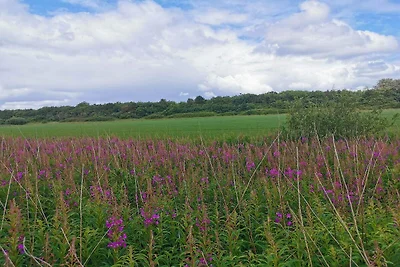 8 persoons vakantie huis in Nørre Nebel