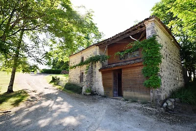 Castello con piscina privata vicino ad Agen