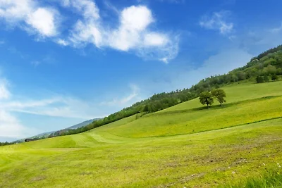 Chalet in Niedernsill nahe Skipisten