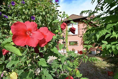 Ferienwohnung auf dem Lande mit Garten