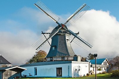 Ferienhaus Mühle in Medelby