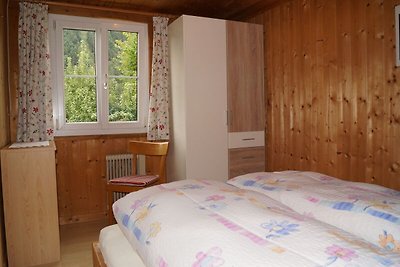 Gemütliches Ferienhaus in Skigebietnähe in Sa...
