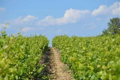 Villa in Le Boulou mit Hügelblick
