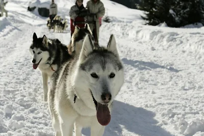 Apartment in Servages mit direktem Zugang zu ...