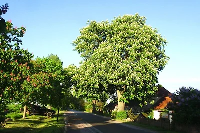Zauberei in Sparow