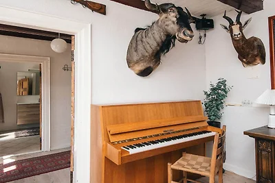 4 Sterne Ferienhaus in Hornsyld