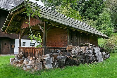 Ferienhaus in Arriach nahe Ossiacher See