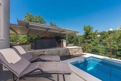 Ferienhaus mit kleinem beheiztem Pool und Gri...