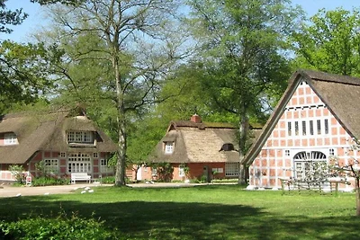 Große Gartenwohnung