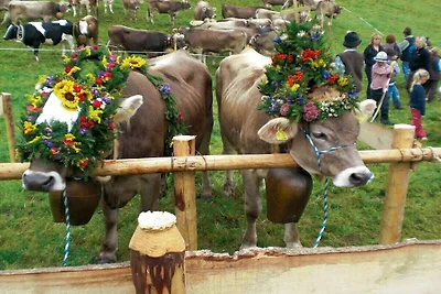Ferienwohnung südliches Allgäu