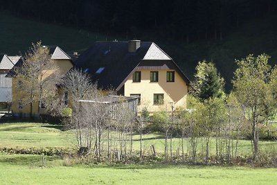 Geräumiges Cottage in der Nähe des Skigebiets...