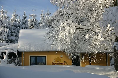 Wohnung in Sachsen mit Terrasse