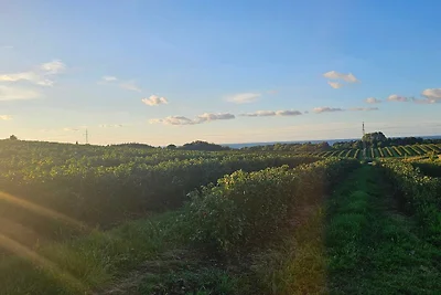 8 persoons vakantie huis in Nykøbing Sj