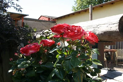 Luxuriöse Ferienwohnung mit Terrasse, Wiek