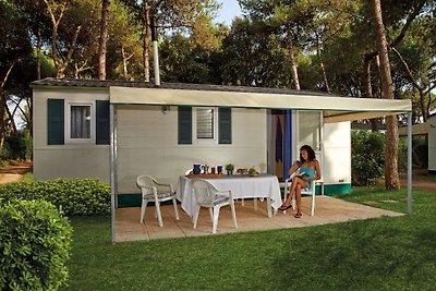 Vrijstaand chalet met airco in een natuurpark...