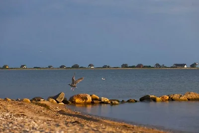 Martinas Mare de Luxe