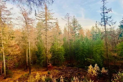 Gemütlicher Bungalow mit IR-Sauna, 3 km.