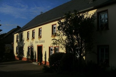 Knus appartement in Morbach met een terras en...