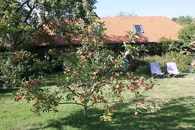 La Petite Maison