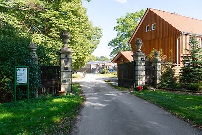 Modernes Ferienhaus in Eschede in Waldnähe