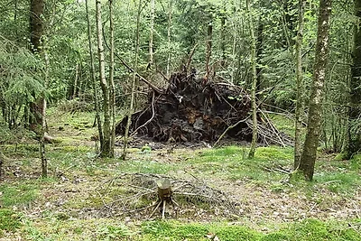 Luminosa Oasi Cottage a Silkeborg-By Traum