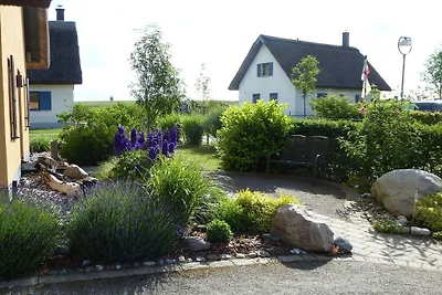 Ferienhaus in Putgarten mit Barbecue