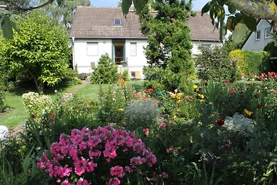 Gemütliche Ferienwohnung mit Garten in...