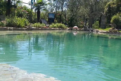 Graziosa casa vacanze in riva al lago