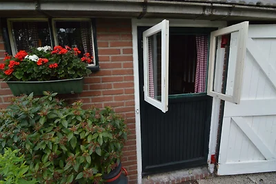 Gezellig vakantiehuis met tuin