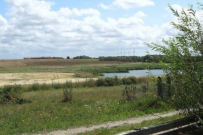 4 Personen Ferienhaus in Lemvig-By Traum