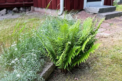 3 Personen Ferienhaus in ESKILSTUNA-By Traum