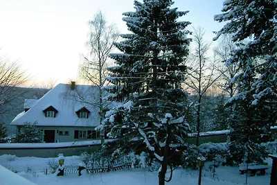 Ferienhaus mit 1 Schlafzimmer