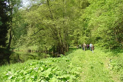 Ferienwohnung in Wilsecker mit Wald