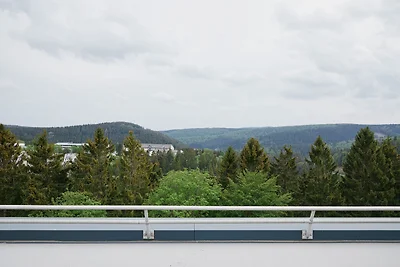 Charmant vakantieappartement in Winterberg me...