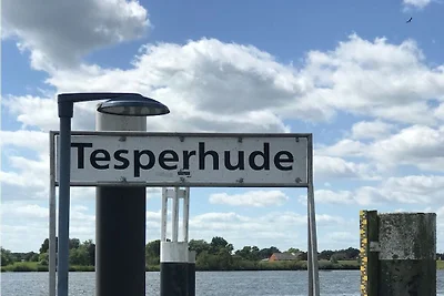 Ferienwohnung vor den Toren Hamburgs