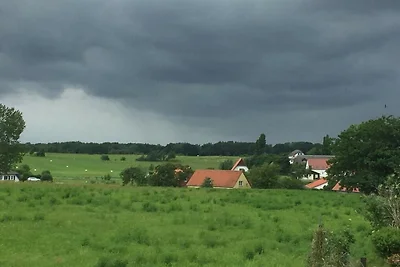 Traumzeit2 Fam. Zimmermann