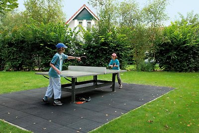 Fijn vakantiehuis met open haard aan het Dren...