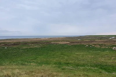 4 Personen Ferienhaus in Rømø-By Traum