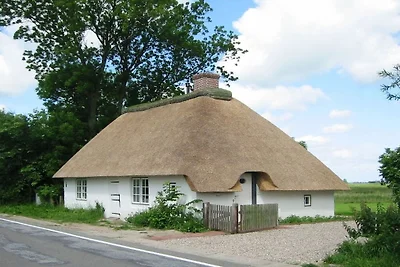 Ferienhaus mit 2 Schlafzimmer