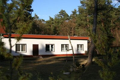 Elite-Ferienhaus mit Garten in Spreenhage