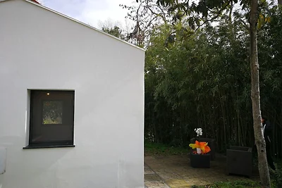 Accogliente casa vacanze in Calabria con...