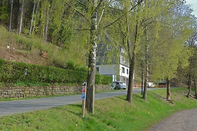 Idyllisches Ferienhaus im Wald in Liesen