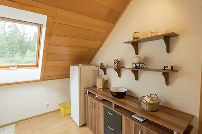 Helles Apartment in Bad Grund in Waldnähe